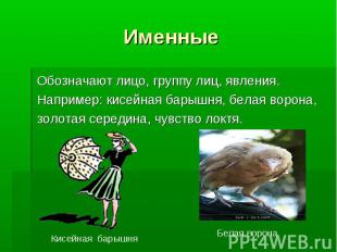 Именные Обозначают лицо, группу лиц, явления.Например: кисейная барышня, белая в