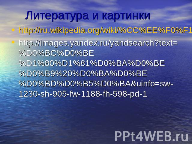 Литература и картинкиhttp://ru.wikipedia.org/wiki/%CC%EE%F0%F1%EA%E8%E5_%EA%EE%ED%FC%EA%E8http://images.yandex.ru/yandsearch?text=%D0%BC%D0%BE%D1%80%D1%81%D0%BA%D0%BE%D0%B9%20%D0%BA%D0%BE%D0%BD%D0%B5%D0%BA&uinfo=sw-1230-sh-905-fw-1188-fh-598-pd-1