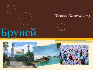 (Brunei Darussalam)