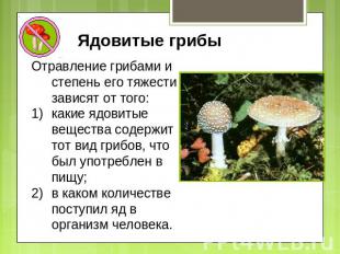 Ядовитые грибы Отравление грибами и степень его тяжести зависят от того: какие я