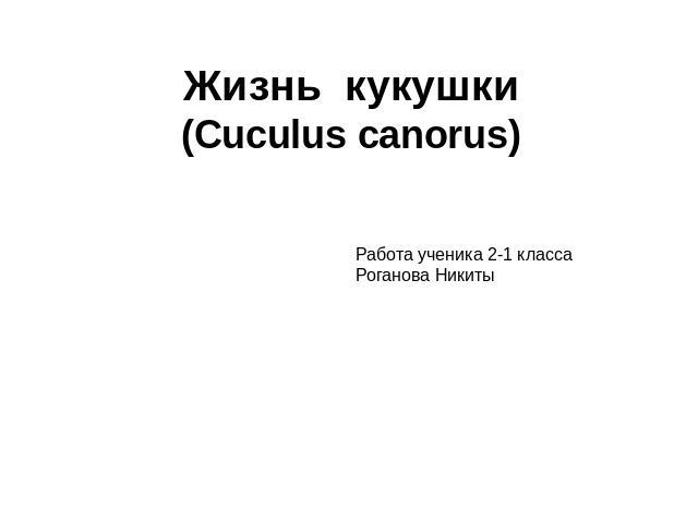 Жизнь кукушки(Cuculus canorus)