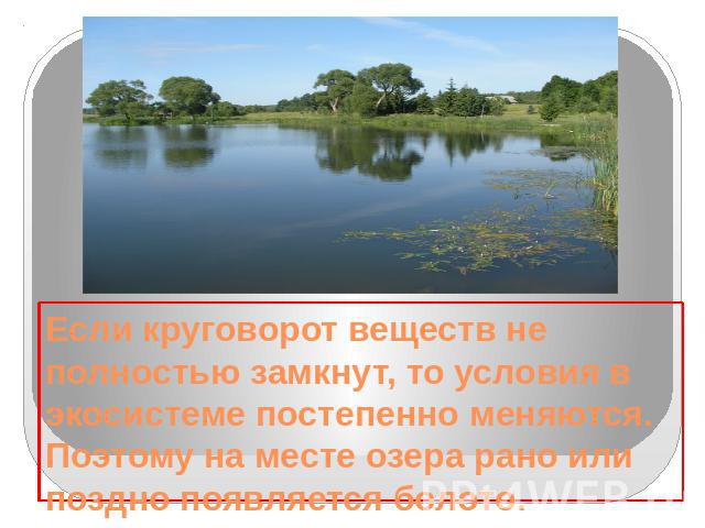 Если круговорот веществ не полностью замкнут, то условия в экосистеме постепенно меняются. Поэтому на месте озера рано или поздно появляется болото.