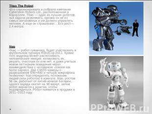 Titan The RobotЕго спроектировала и собрала компания Cyberstein Robots Ltd., рас