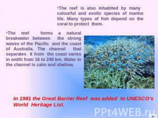 The reef forms a natural breakwater between the strong waves of the Pacific and