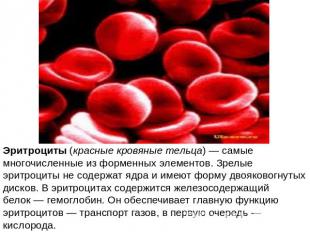 Эритроциты (красные кровяные тельца) — самые многочисленные из форменных элемент