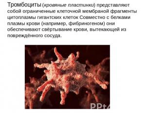 Тромбоциты (кровяные пластинки) представляют собой ограниченные клеточной мембра