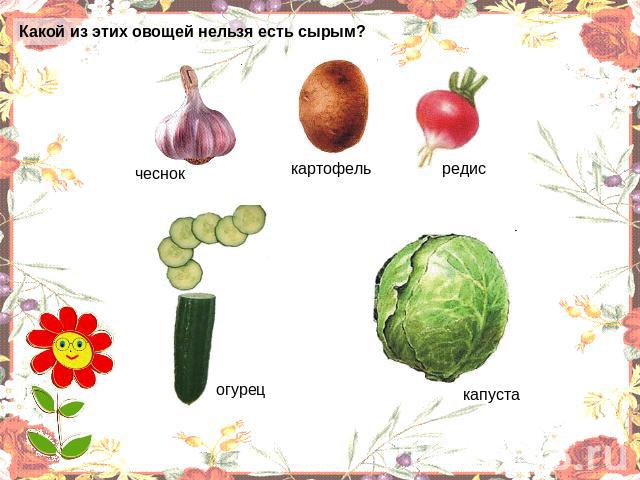 Какой из этих овощей нельзя есть сырым?. чеснок картофель редис огурец капуста