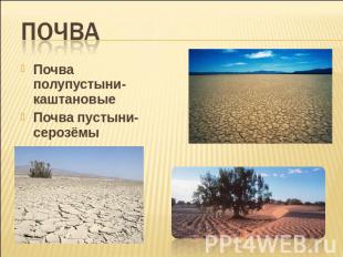 Почва Почва полупустыни- каштановые Почва пустыни- серозёмы