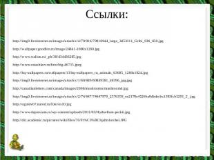 Ссылки: http://img0.liveinternet.ru/images/attach/c/4/79/916/79916944_large_3453