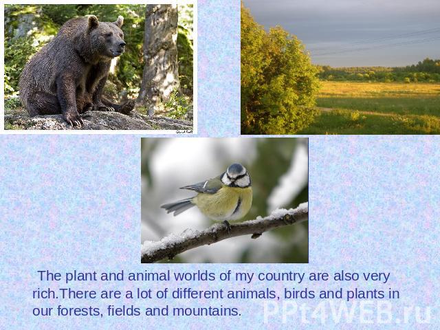 The plant and animal worlds of my country are also very rich.There are a lot of different animals, birds and plants in our forests, fields and mountains.