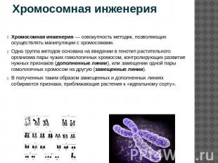Хромосомная инженерия Хромосомная инженерия — совокупность методик, позволяющих