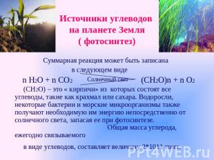 Источники углеводов на планете Земля( фотосинтез) Суммарная реакция может быть з