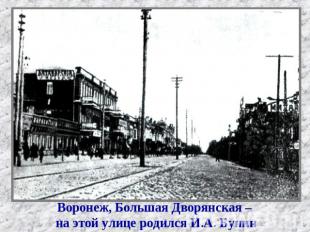 Воронеж, Большая Дворянская – на этой улице родился И.А. Бунин