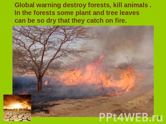 Global warning destroy forests, kill animals . In the forests some plant and tree leaves can be so dry that they catch on fire.