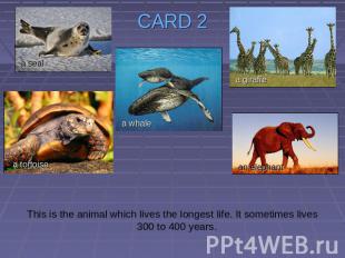 CARD 2 This is the animal which lives the longest life. It sometimes lives 300 t
