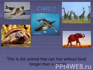 CARD 2 This is the animal that can live without food longer than a camel.