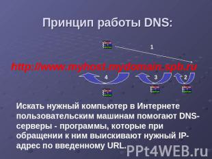 Принцип работы DNS: http://www.myhost.mydomain.spb.ru Искать нужный компьютер в