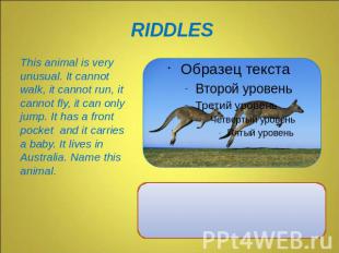 This animal is very unusual. It cannot walk, it cannot run, it cannot fly, it ca