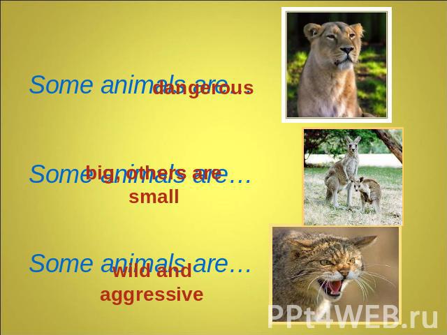 Some animals are… Some animals are… Some animals are… dangerous