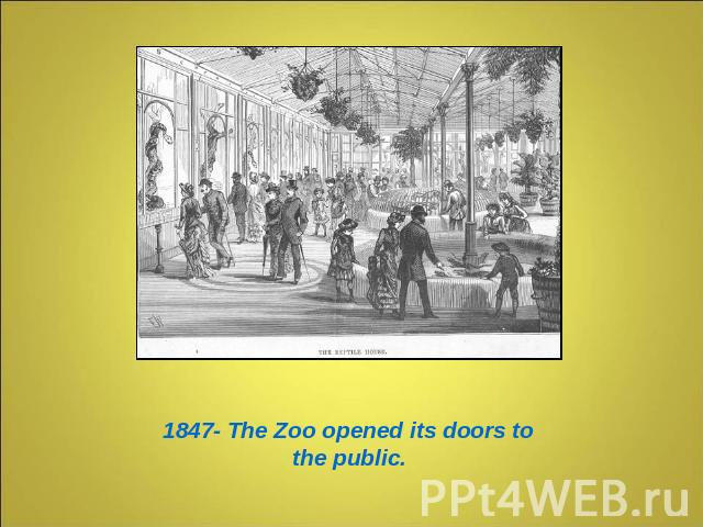 1847- The Zoo opened its doors to the public.