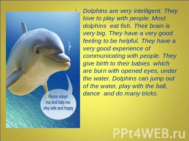 Dolphins are very intelligent. They love to play with people. Most dolphins eat fish. Their brain is very big. They have a very good feeling to be helpful. They have a very good experience of communicating with people. They give birth to their babie…