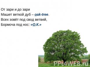 От зари и до зари Машет веткой дуб – oak-tree. Всех зовёт под свод ветвей, Бормо