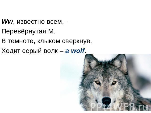 Ww, известно всем, - Перевёрнутая M. В темноте, клыком сверкнув, Ходит серый волк – a wolf.