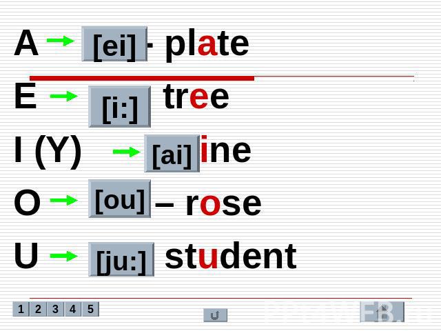 A - plate A - plate E - tree I (Y) - nine O – rose U - student