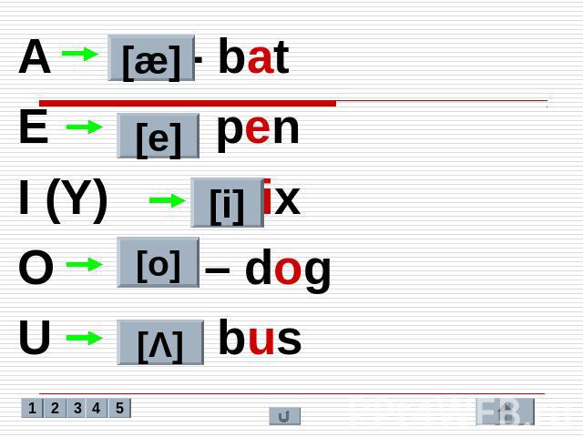 A - bat A - bat E - pen I (Y) - six O – dog U - bus