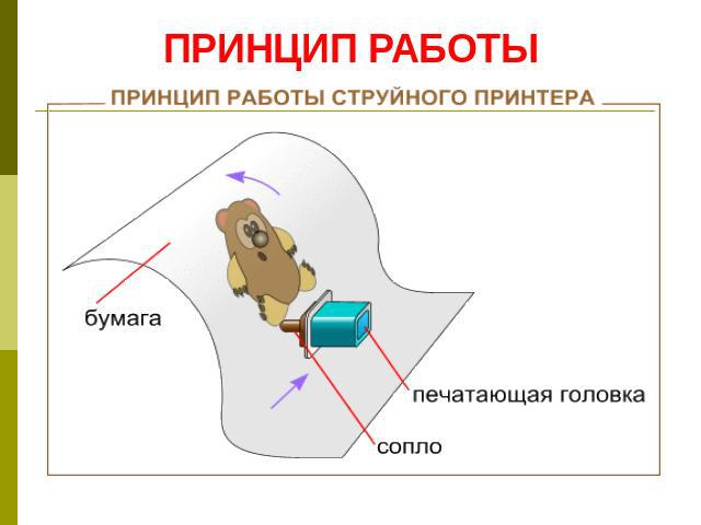 Принцип действия какого принтера основан на методе сухого электростатического переноса изображения