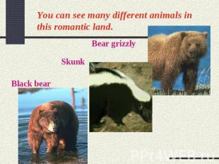 You can see many different animals in this romantic land.