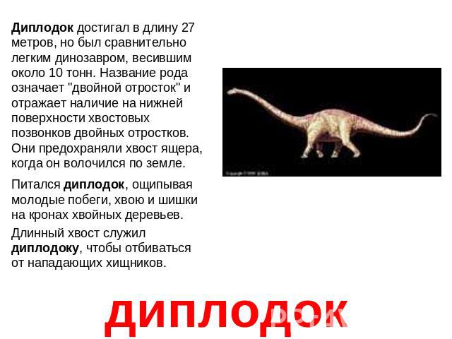 Диплодокдиплодок достигал в длину 27 метров, но был сравнительно легким динозавром, весившим около 10 тонн. Название рода означает "двойной отросток" и отражает наличие на нижней поверхности хвостовых позвонков двойных отростков. Они предо…
