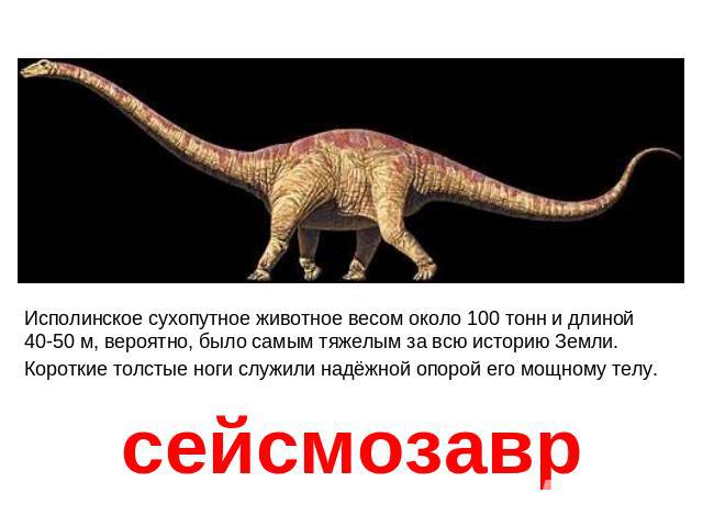 Сейсмозаврисполинское сухопутное животное весом около 100 тонн и длиной 40-50 м, вероятно, было самым тяжелым за всю историю земли. Короткие толстые ноги служили надёжной опорой его мощному телу.
