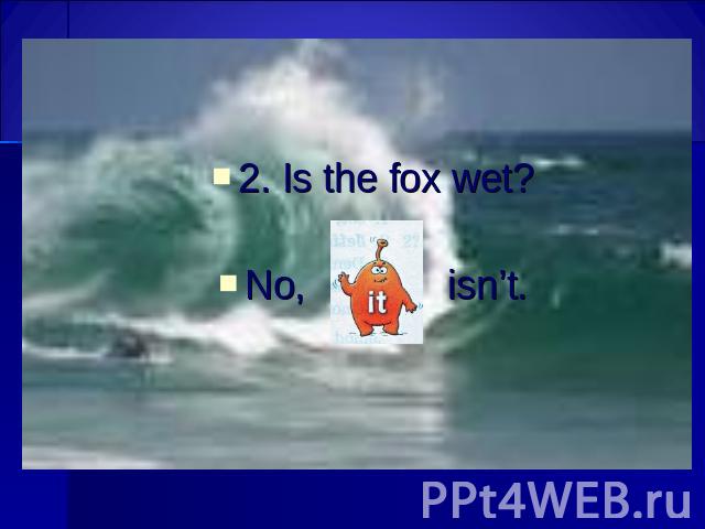 2. Is the fox wet? No, isn’t.