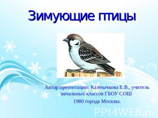 Зимующие птицы Автор презентации: Калмычкова Е.В., учитель начальных классов ГБО