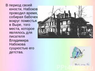 В период своей юности, Набоков проводил время, собирая бабочек вокруг поместья в