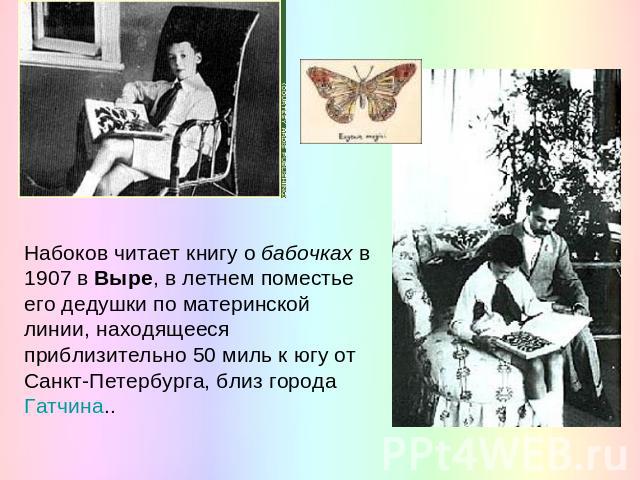 Набоков читает книгу о бабочках в 1907 в Выре, в летнем поместье его дедушки по материнской линии, находящееся приблизительно 50 миль к югу от Санкт-Петербурга, близ города Гатчина..