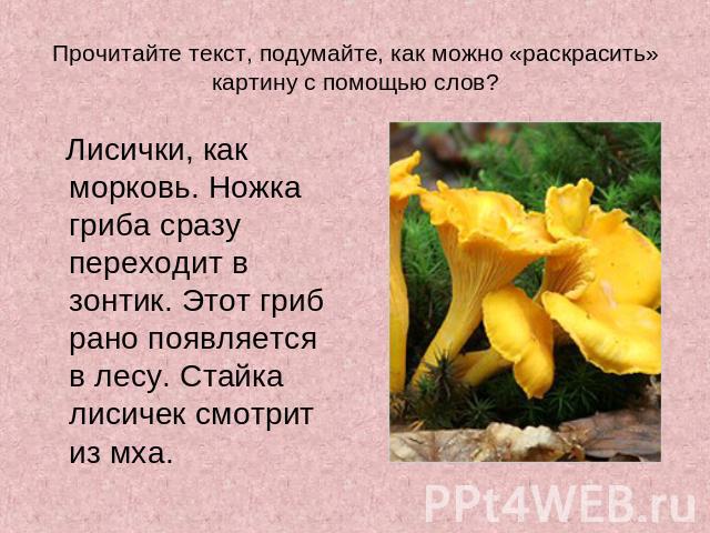 Прочитайте текст, подумайте, как можно «раскрасить» картину с помощью слов? Лисички, как морковь. Ножка гриба сразу переходит в зонтик. Этот гриб рано появляется в лесу. Стайка лисичек смотрит из мха.