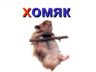 хлмяк