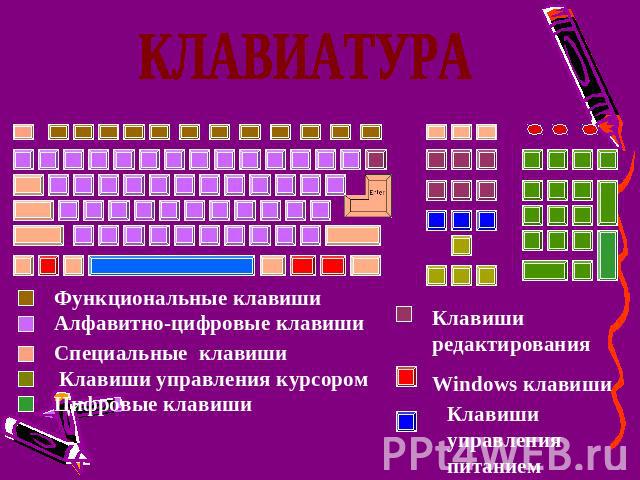 КЛАВИАТУРА Функциональные клавиши Алфавитно-цифровые клавиши Специальные клавиши Клавиши управления курсором Цифровые клавиши Клавиши редактирования Windows клавиши Клавиши управления питанием