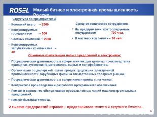 Малый бизнес и электронная промышленность России Структура по предприятиямКомпан