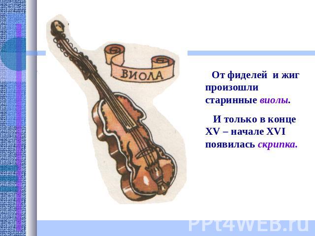 От фиделей и жиг произошли старинные виолы. И только в конце XV – начале XVI появилась скрипка.