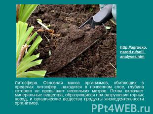 http://agroexp.narod.ru/soil_analyses.htm Литосфера. Основная масса организмов,