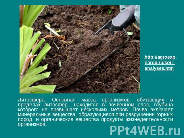 http://agroexp.narod.ru/soil_analyses.htm Литосфера. Основная масса организмов, обитающих в пределах литосфер., находится в почвенном слое, глубина которого не превышает нескольких метров. Почва включает минеральные вещества, образующиеся при разруш…