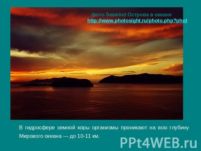 фото Seawind Острова в океане http://www.photosight.ru/photo.php?phot В гидросфере земной коры организмы проникают на всю глубину Мирового океана — до 10-11 км.