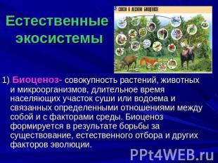 Естественные экосистемы 1) Биоценоз- совокупность растений, животных и микроорга