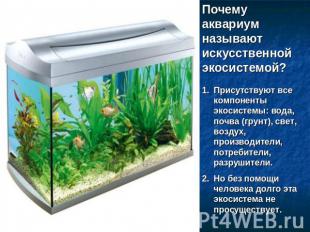 Почему аквариум называют искусственной экосистемой? Присутствуют все компоненты
