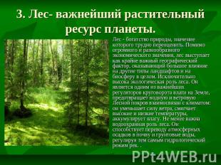 3. Лес- важнейший растительный ресурс планеты. Лес - богатство природы, значение