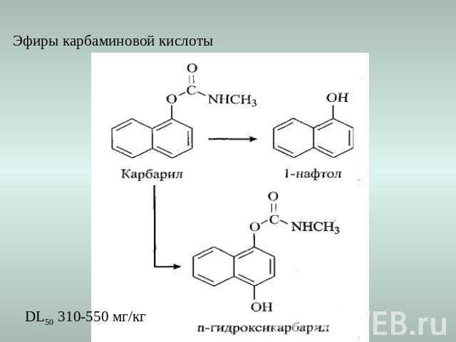 Эфиры карбаминовой кислоты DL50 310-550 мг/кг