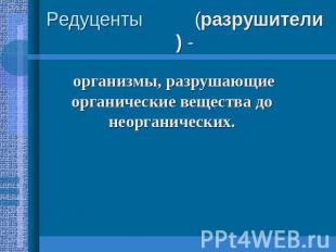 Редуценты (разрушители) - организмы, разрушающие органические вещества до неорга